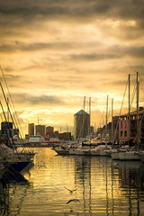 Fototapeta premium Porto Antico Genoa