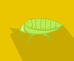 Wild Plant Lice Insect