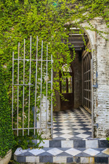 old steel door and a wall covered with green leaf