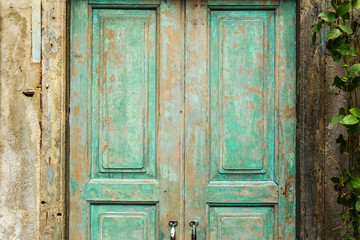 green wood door and a wall covered with green leaf