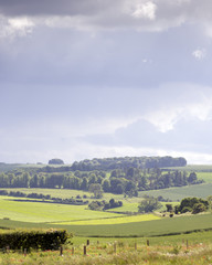 Fototapeta na wymiar English countryside