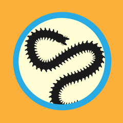 Centipede Worm