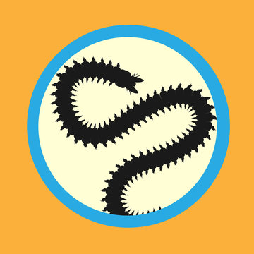 Centipede Worm