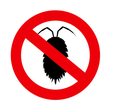 Louse Insect Prohibited Sign