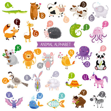 Cute kids animal alphabet