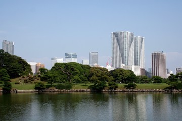 Fototapeta na wymiar Traditional japanese garden and Tokyo skyline