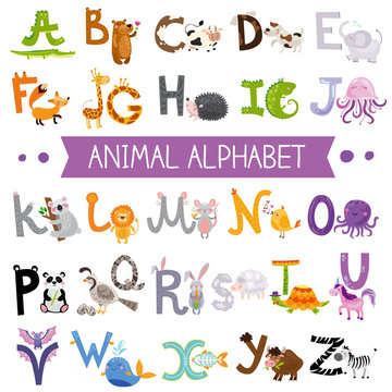 Cute Kids Animal Alphabet