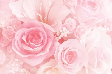Photo sur Plexiglas Roses Fleurs roses