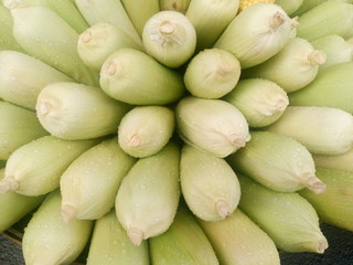 Directly above shot of fresh corns for sale