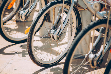 Obraz premium Row Of Bicycles Bikes For Rent On Sidewalk. Close Up Of Wheel