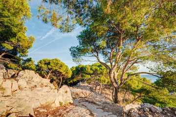 Fototapeta na wymiar Nature Of Calanques On The Azure Coast Of France. Calanques