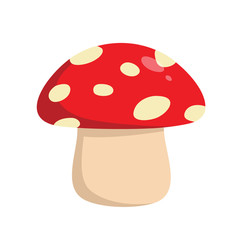 Mushroom Vector Illustration Flat Design
