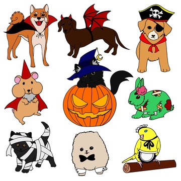 Halloween Icons funny Pets