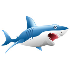 Wild shark attack on white background