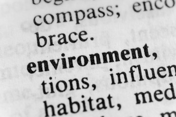 Obraz premium Environment