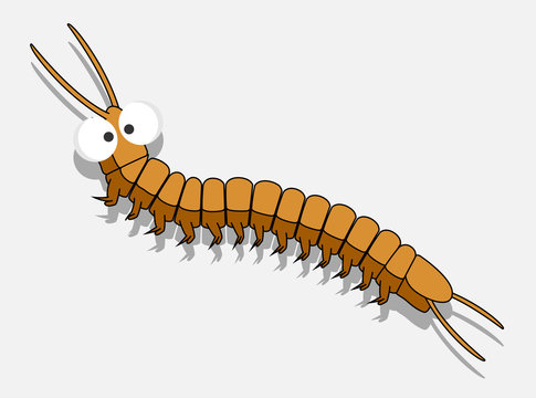 Centipede Cartoon Images – Browse 1,740 Stock Photos, Vectors, and Video |  Adobe Stock