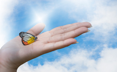 A beautiful butterfly sitting on woman's hand.
Beautiful butterfly,Painted Jezebel( delias hyparete) perched on warm hand with sun ray blurred background and copy space.Save our earth,save the World