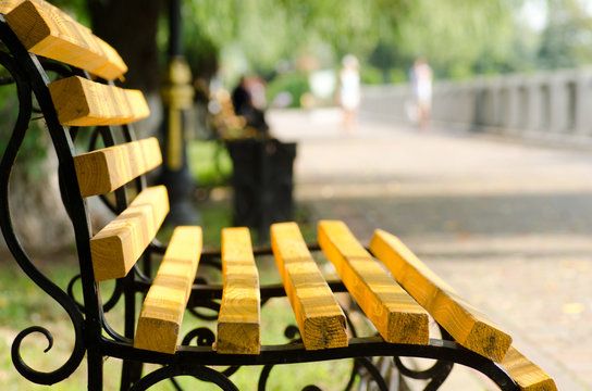 bench on a summer evening