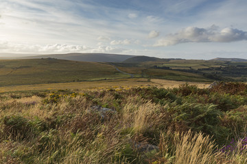 Dartmoor