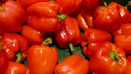 Rote Paprika