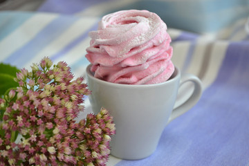 Zephyr cake ( marshmallow) in coffee cup on 
background with pastel colors.