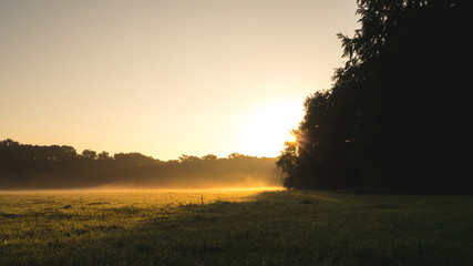 Fototapeta na wymiar Foggy sunrise