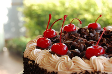 Black Forest cake