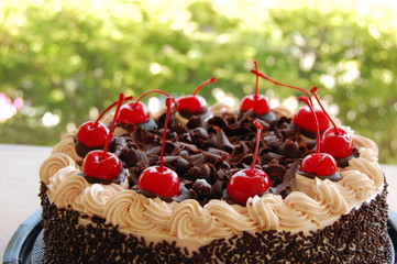 Black Forest cake
