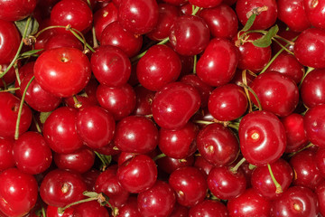 Cherry background/Horizontal close-up of cherry