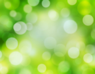 Fototapeta premium Green nature blur defocused background.