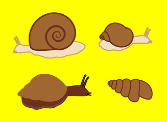 Wild Snails