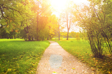 colorful autumn leaves on trees in park at sunset