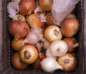 Bunch of onions on boxe