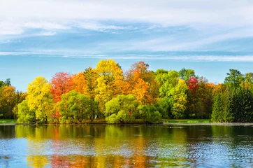 Photo sur Plexiglas Automne feuilles d& 39 automne colorées sur les arbres dans le parc au coucher du soleil