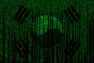 South Korea digital flag style matrix