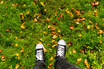 Pair of sneakers with autumn leaves on green grass field, view from above