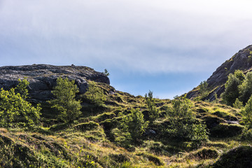Obraz premium Colorful summer landscape with sharp mountain peaks in Norway.