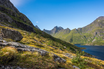 Naklejka na ściany i meble Colorful summer landscape with sharp mountain peaks in Norway.
