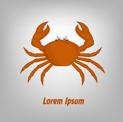 Crab Vector Template