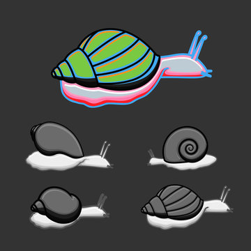 Snails Vector Set