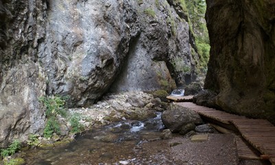Prosiceka dolina valley in Chocske vrchy mountains in central Slovakia © rihas