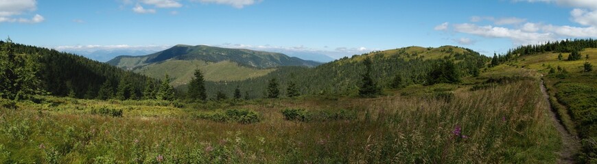 Fototapeta na wymiar north panorama view from Homolka saddle in Nizke Tatry mountains in Slovakia
