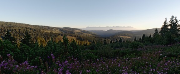 north panorama view from hillside of Andrejcova in Nizke Tatry mountains in Slovakia
