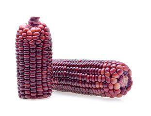 ripe purple corn isolate on white background
