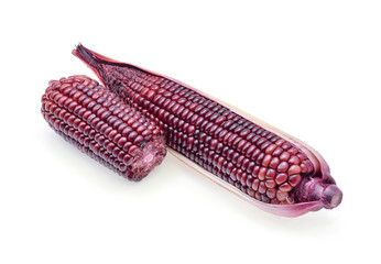 ripe purple corn isolate on white background