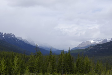 Fototapeta premium Icefield Parkway in Jasper National Park, Alberta, Canada