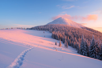 Winter landscape with footpath in the snow in the mountains