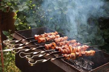 shish kebab on nature