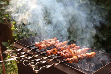 shish kebab on nature
