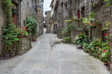 Fototapeta premium Vitorchiano, średniowieczna wioska w prowincji Viterbo, Lacjum (Włochy)